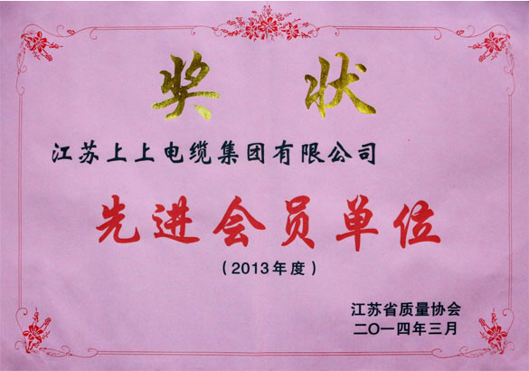 公海彩船集团荣获江苏省质量协会2013年度“先进会员单位”称呼