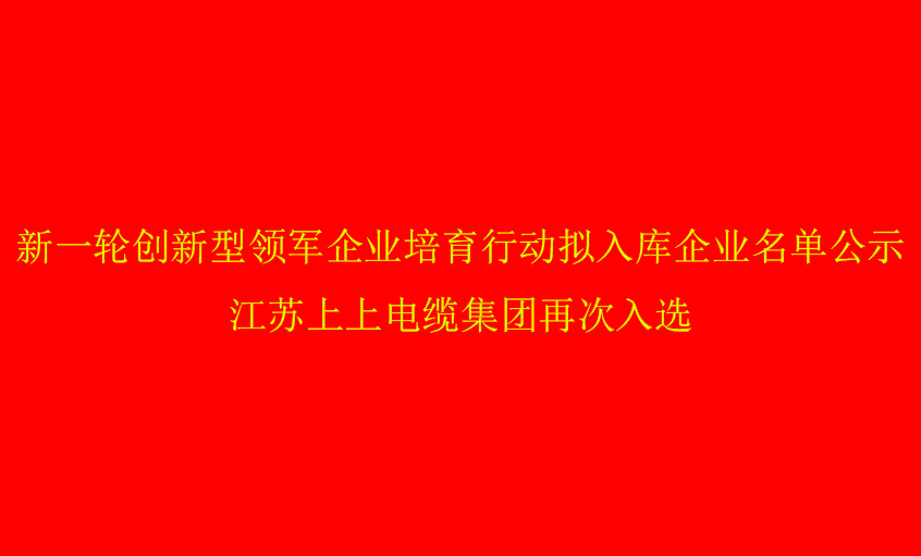 公海彩船电缆再次入选省立异型领军企业培育名单