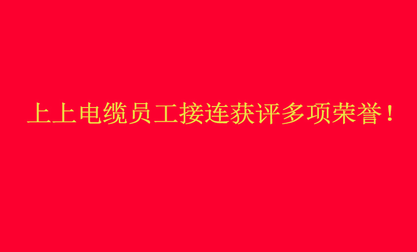 公海彩船电缆员工接连获评多项声誉